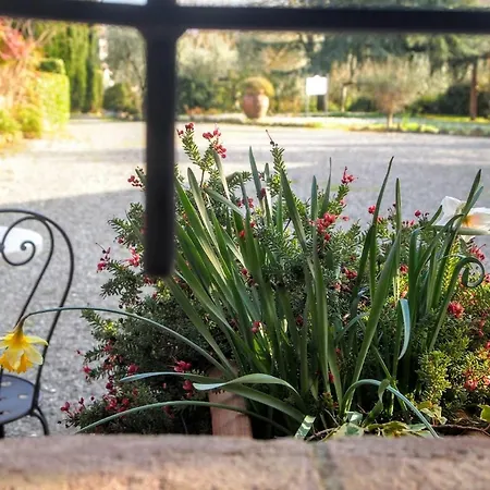 L'aia Country Holidays Летний дом Сиена