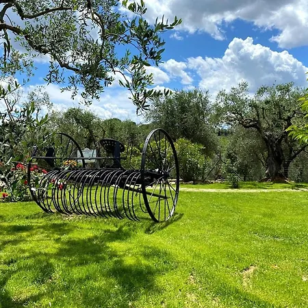 Casa di campagna L'aia Country Holidays *