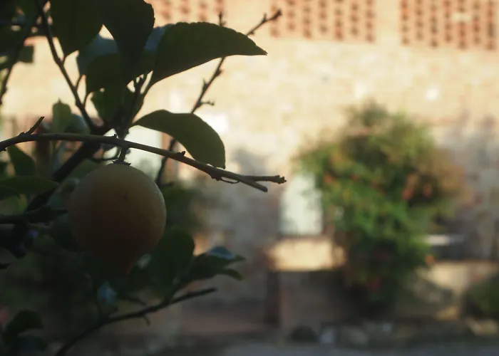 L'aia Country Holidays Casa rural *